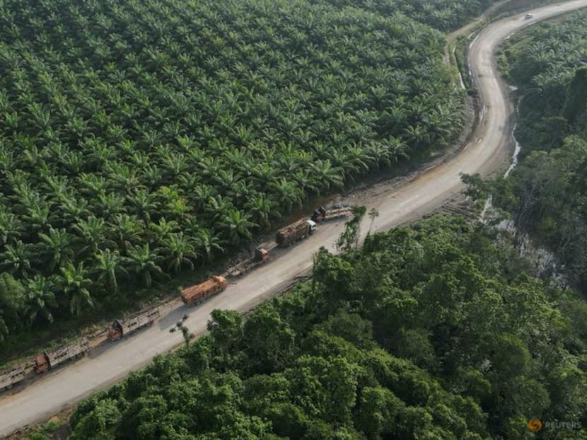 Some cash in on land boom near Indonesia's new capital, others despondent Some cash in on land boom near Indonesia's new capital, others despondent
