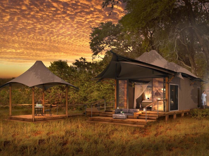 Into the wild: Should safaris be luxe or not?