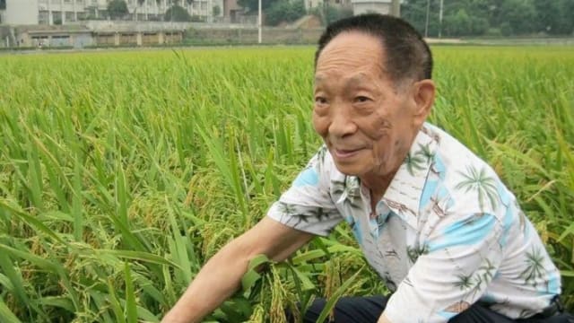 “杂交水稻之父” 袁隆平逝世