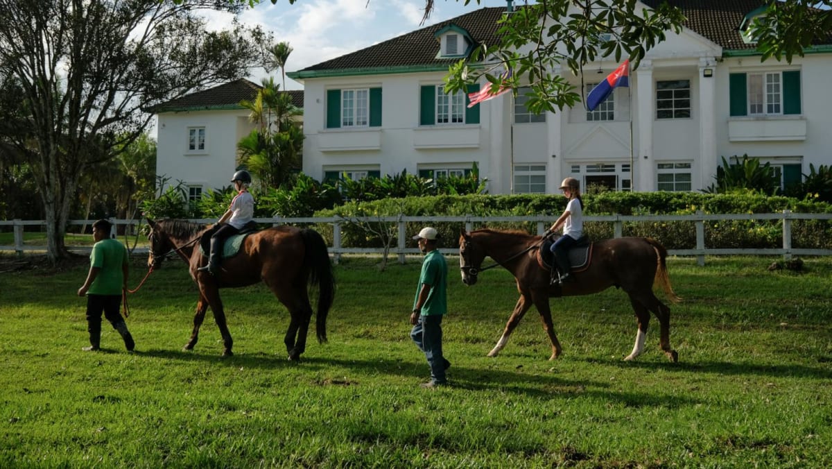 在这家柔佛度假村与马匹一起度过周末，享受乡村生活