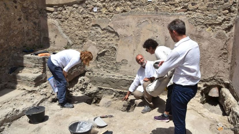 Tortoise and its egg found in latest Pompeii discovery Tortoise and its egg found in latest Pompeii discovery