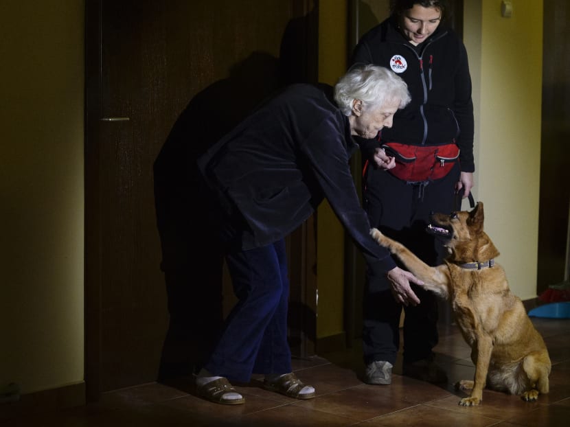 Street dogs transform lives of Bucharest elderly