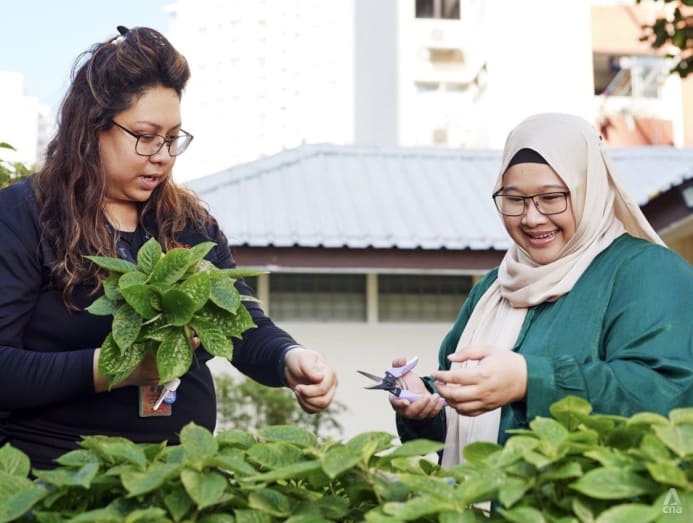Rise Above Halfway House Saleha Rashidi helps women exoffenders get