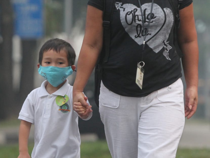 A young boy wearing a face mask in the haze. Photo by Don Wong, 20 Jun 2013.
