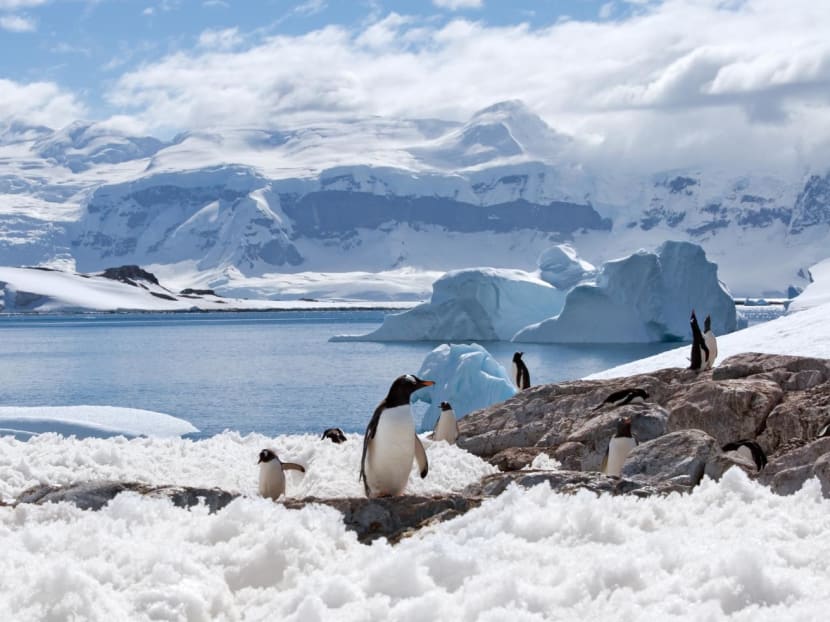 Explore exotic destinations such as Antarctica, Colombia and South Africa at this luxury travel fair Explore exotic destinations such as Antarctica, Colombia and South Africa at this luxury travel fair