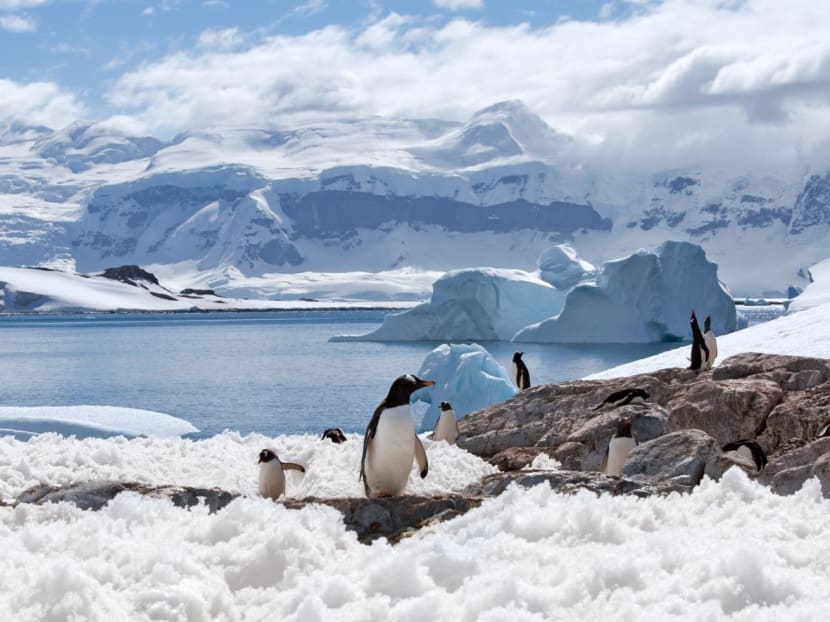 Explore exotic destinations such as Antarctica, Colombia and South Africa at this luxury travel fair