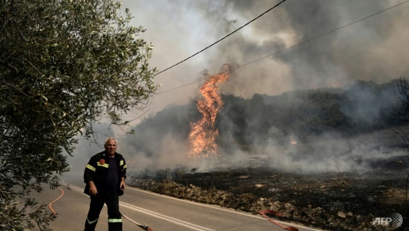 Greek firefighters battle major blazes on multiple fronts
