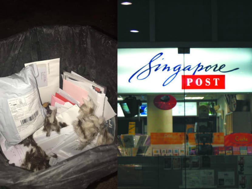 IMDA said it has launched an investigation — separate from a police probe — into an allegation of discarded mail which affected numerous residents living in the Ang Mo Kio Ave 4 and 5 area. IMDA said it has launched an investigation — separate from a police probe — into an allegation of discarded mail which affected numerous residents living in the Ang Mo Kio Ave 4 and 5 area.