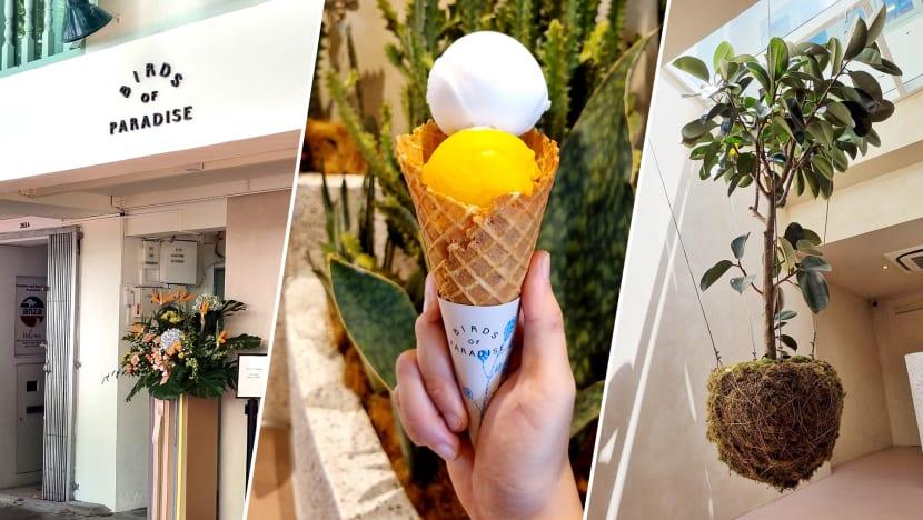 Birds Of Paradise Gelato’s New Beach Rd Outlet Looks Like A Mini Art Gallery Birds Of Paradise Gelato’s New Beach Rd Outlet Looks Like A Mini Art Gallery