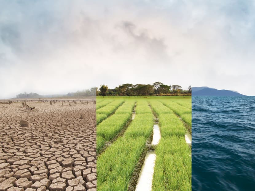 COP26: 10 reasons why it’s an important moment in the climate change ...