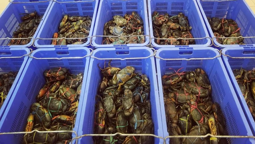 Man jailed, fined for stealing 11 crabs from House of Seafood and not wearing mask properly