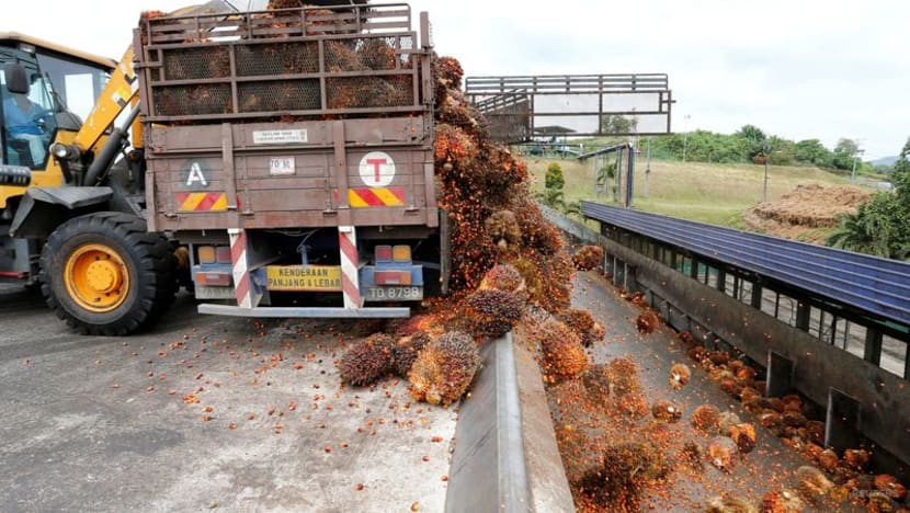 Malaysia may cut palm oil export tax amid global supply crisis Malaysia may cut palm oil export tax amid global supply crisis