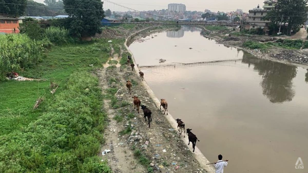 DALAM FOKUS: Dari mata air pemberi kehidupan hingga air berwarna coklat keruh, adakah harapan bagi Sungai Bagmati di Nepal?