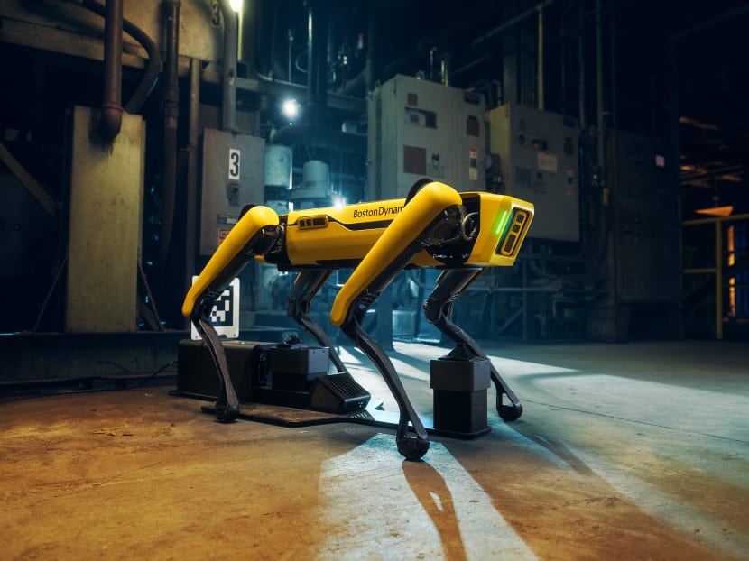 A photo provided by ERPR Group shows a Digidog, a 30kg robotic dog with a loping gait, cameras and lights affixed to its frame. A photo provided by ERPR Group shows a Digidog, a 30kg robotic dog with a loping gait, cameras and lights affixed to its frame.