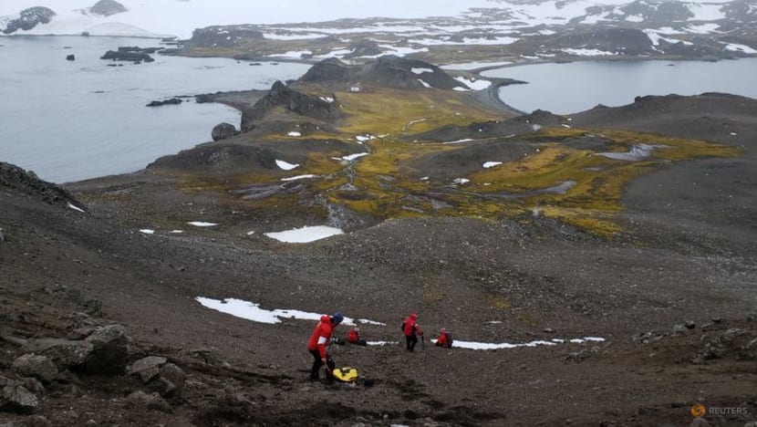 Bacteria with antibiotic resistant genes discovered in Antarctica, scientists say Bacteria with antibiotic resistant genes discovered in Antarctica, scientists say