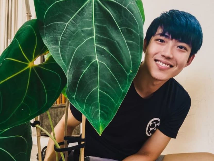 ‘I think my neighbours find me crazy’: Actor Benjamin Tan on his collection of 100 plants