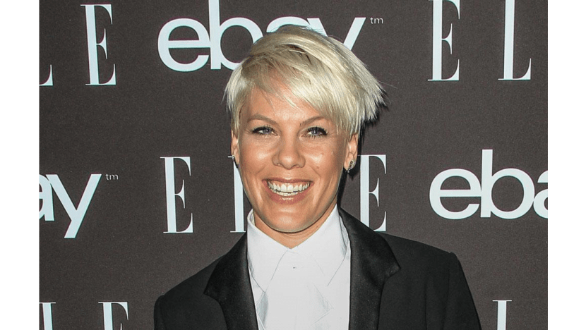 Pink will 'never apologise' for her opinions