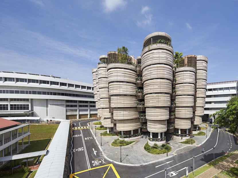 The Hive at the Nanyang Technological University in Singapore. Photo: Hufton and Crow