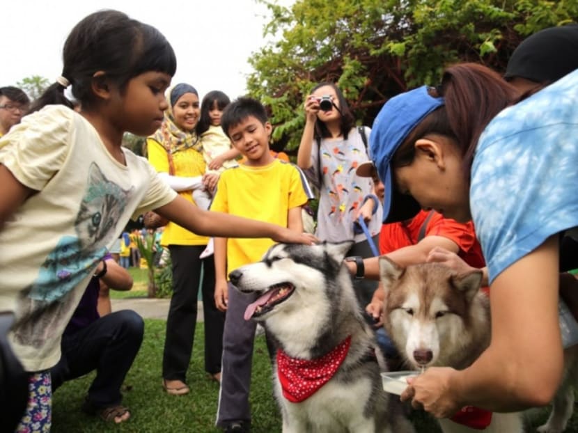 Muslims and non-Muslims animal lovers attend the ‘I want to touch a dog’ event in Central Park, Bandar Utama, Oct 19, 2014. Photo: The Malay Mail Online