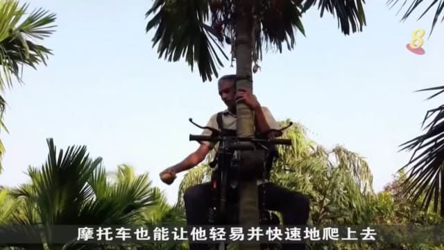 印度农民发明能爬树的摩托车 生产力因此激增三倍