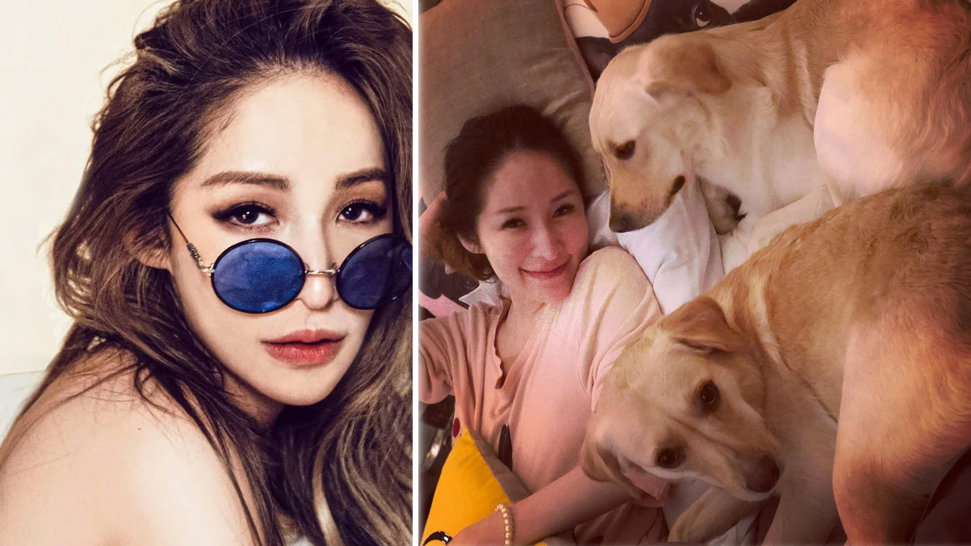 Elva Hsiao Was Reportedly Hospitalised For More Than A Month After A Dog Bit Her Face Elva Hsiao Was Reportedly Hospitalised For More Than A Month After A Dog Bit Her Face
