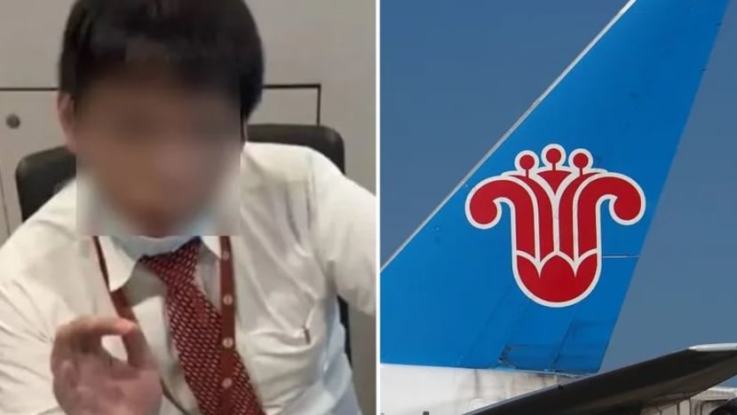 Syarikat penerbangan China Southern mohon maaf, gantung tugas kakitangan panggil penumpang 'anjing'