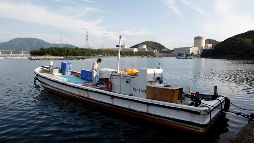 As Japan reboots 44-year-old nuclear reactor, experts sound alarm As Japan reboots 44-year-old nuclear reactor, experts sound alarm