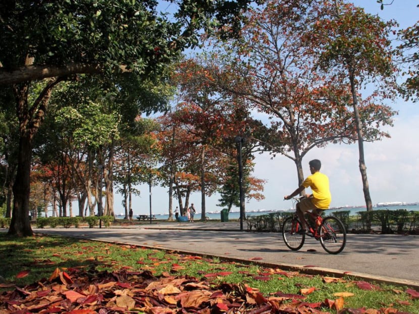 Mr Masagos Zulkifli stressed Singapore’s commitment to fight climate change, given that the island-state is vulnerable to the environmental impact. TODAY file photo