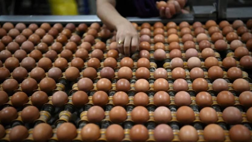 Bekalan telur di Johor kurang kerana permintaan negeri lain, eksport ke SG