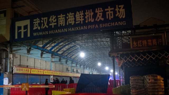 新证据发现 冠病起源或跟华南海鲜市场狸猫有关