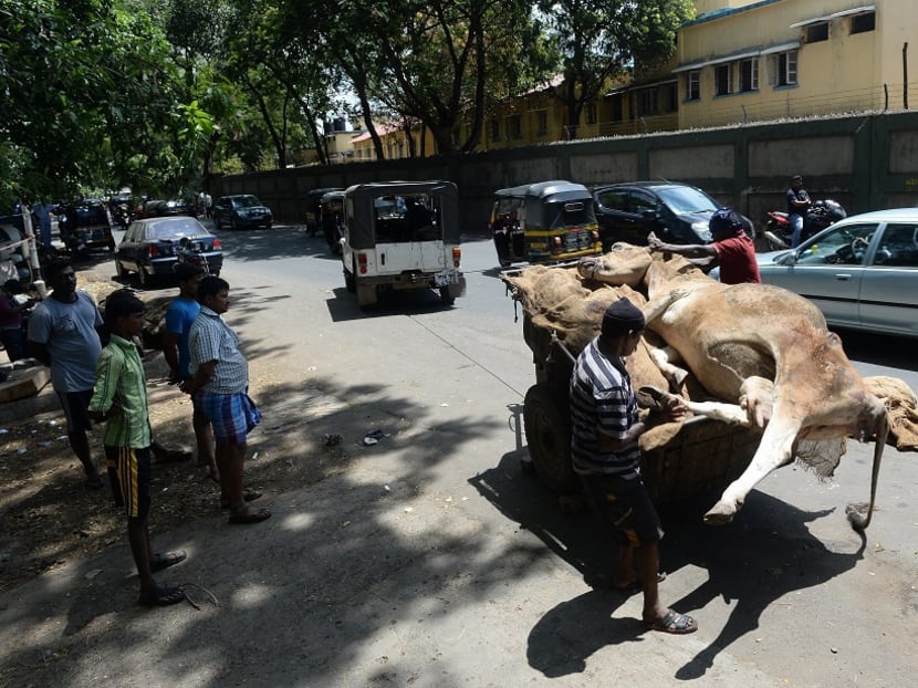 Indian labourers load a dead cow onto a trailer in Mumbai. AFP file photo