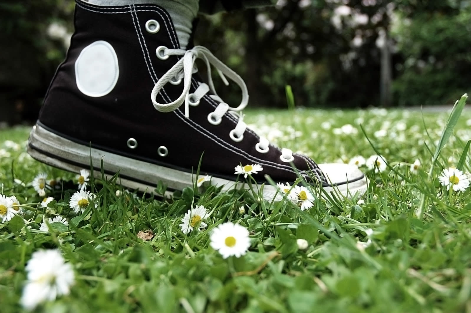 Do You Need To Wash Your Sneakers For 50 8days