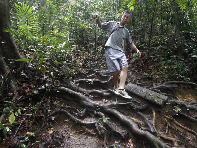 A sense of sadness, concern with looming closure of Bukit Timah Nature Reserve