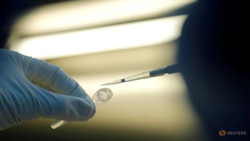 Germany says Russian COVID-19 vaccine has not been sufficiently tested Germany says Russian COVID-19 vaccine has not been sufficiently tested