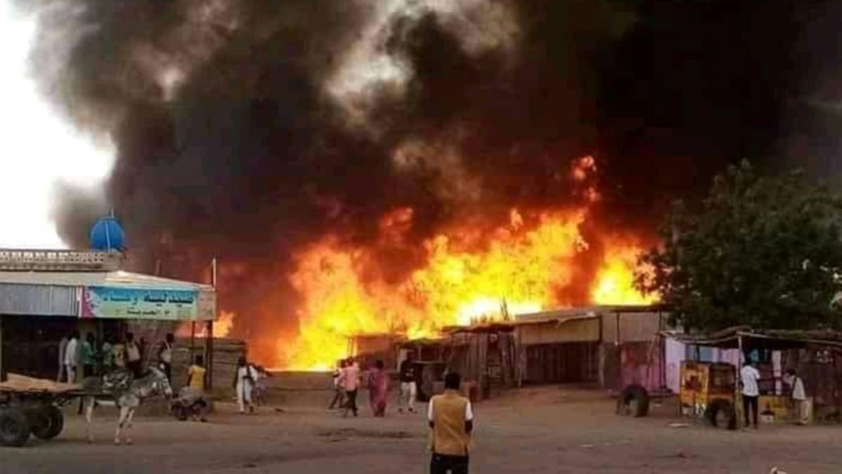 At least 40 killed in Darfur as UN's Sudan chief quits - Vimarsana News