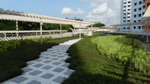 三巴旺集选区推出首个预制盆栽系统社区花园