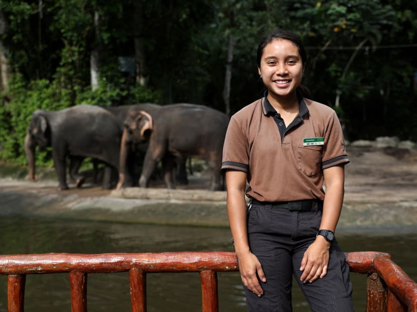 Nursyafiqah Mohamed Yusof, 24, the Singapore Zoo's first female elephant keeper. Nursyafiqah Mohamed Yusof, 24, the Singapore Zoo's first female elephant keeper.