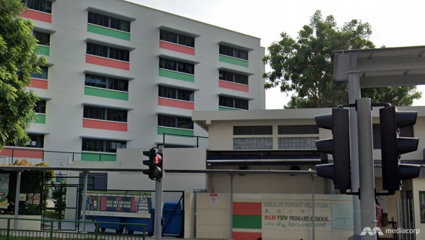 Palm View Primary School student tests positive for COVID-19, home-based learning extended Palm View Primary School student tests positive for COVID-19, home-based learning extended