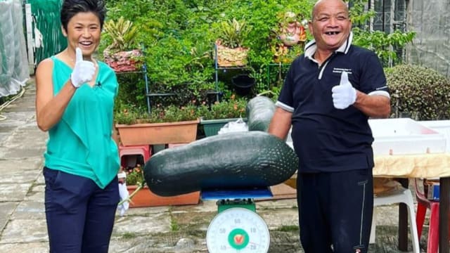 三巴旺居民收成18公斤巨型冬瓜
