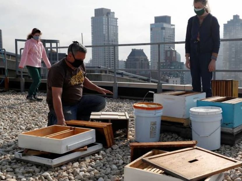 Beehive deliveries keep New Yorkers buzzing on rooftops, backyards Beehive deliveries keep New Yorkers buzzing on rooftops, backyards