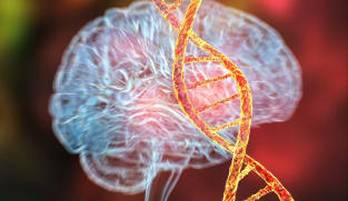 ASD jab: Chinese scientists reach milestone in revolutionary gene therapy for autism
