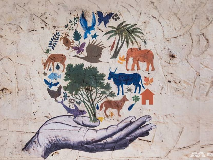 Want to save the animals? These things in your home might not be helping Want to save the animals? These things in your home might not be helping