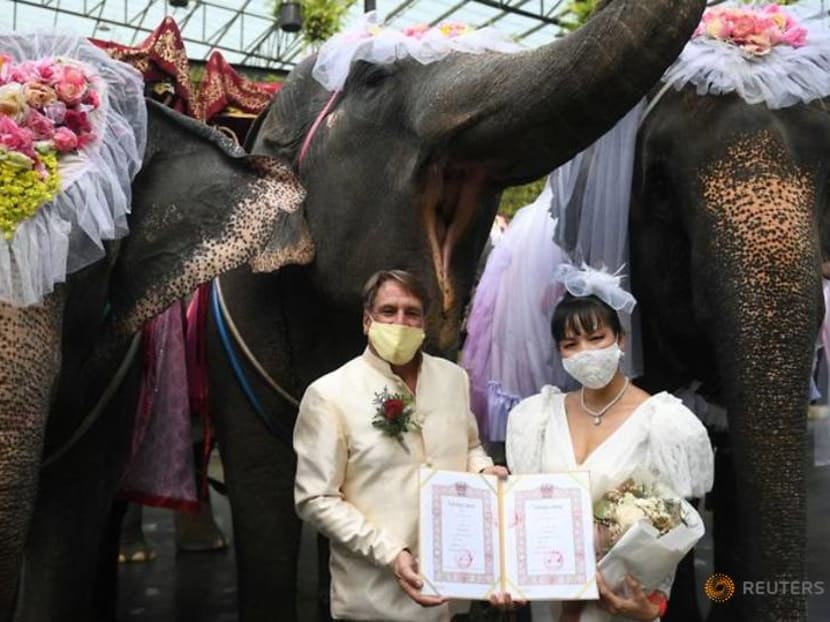 Couples in Thailand tie the knot on elephants on Valentine's Day Couples in Thailand tie the knot on elephants on Valentine's Day