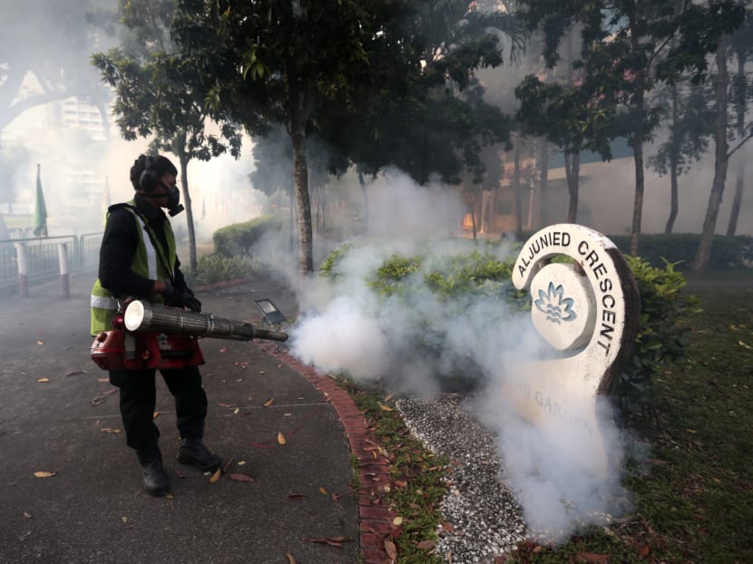 Thermal fogging at Aljunied Crescent on Aug 31, 2016. Photo: Jason Quah Thermal fogging at Aljunied Crescent on Aug 31, 2016. Photo: Jason Quah