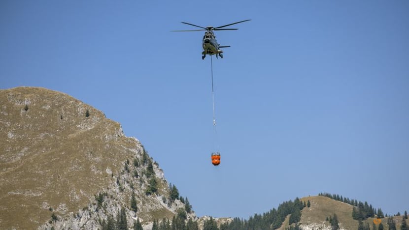 Swiss army airlifts water to thirsty animals in Alpine meadows