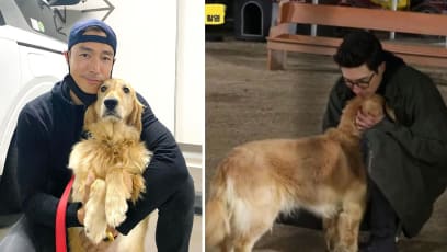 Daniel Henney Met This Ex-Breeding Dog In Korea, Brought Her Back To The US To Foster Her —  And Now He’s Found Her A Forever Home