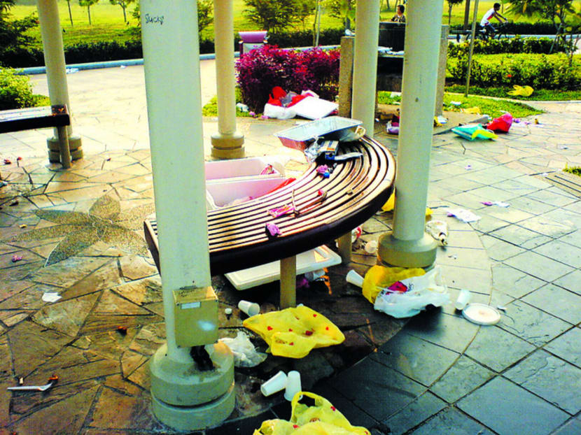 Antisocial behaviour serves only to encourage distasteful actions such as littering. TODAY file photo