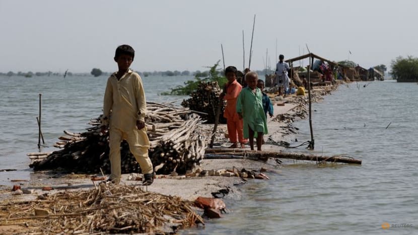 Gastroenteritis, malaria kill 9 more people in Pakistan floods aftermath