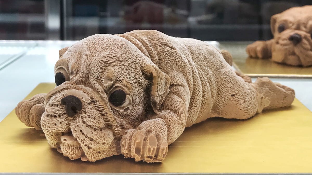 Realistic sale pug cake