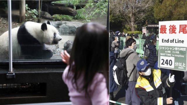 日本送别大熊猫 动物园抽签限访客